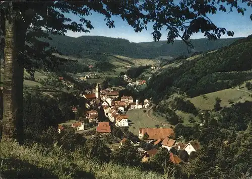 Bad Peterstal-Griesbach Renchtal / Bad Peterstal-Griesbach /Ortenaukreis LKR