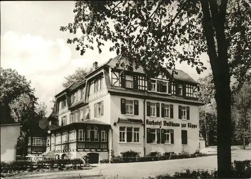 Bad Klosterlausnitz Kurhotel Waldhaus zur Koeppe / Bad Klosterlausnitz /Saale-Holzland-Kreis LKR