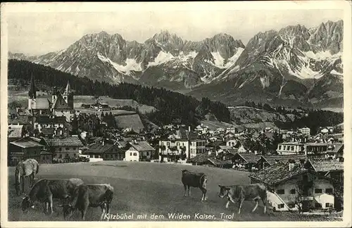 Kitzbuehel Tirol Gesamtansicht wilder Kaiser / Kitzbuehel /Tiroler Unterland