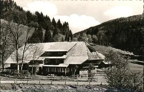 Belchen Baden Pension Belchen-Multen / Neuenweg /Loerrach LKR