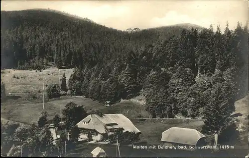 Belchen Baden Multen / Neuenweg /Loerrach LKR