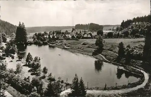 Friedenweiler Klostersee Strandbad / Friedenweiler /Breisgau-Hochschwarzwald LKR