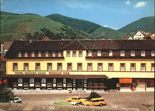 Buehlertal Hotel Restaurant Gruener Baum / Buehlertal /Rastatt LKR