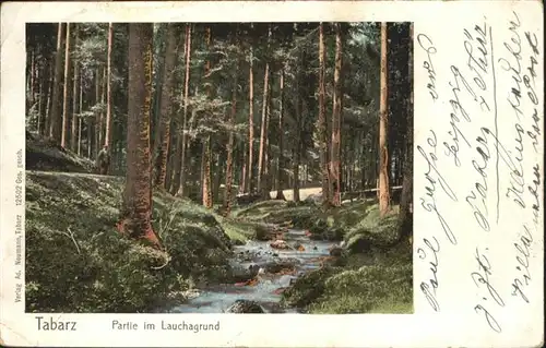 Tabarz Lauchagrund / Tabarz Thueringer Wald /Gotha LKR