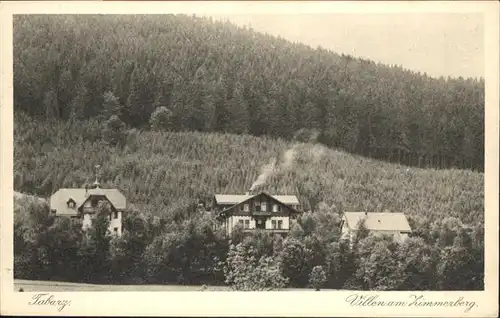 Tabarz Villen am Zimmerberg / Tabarz Thueringer Wald /Gotha LKR