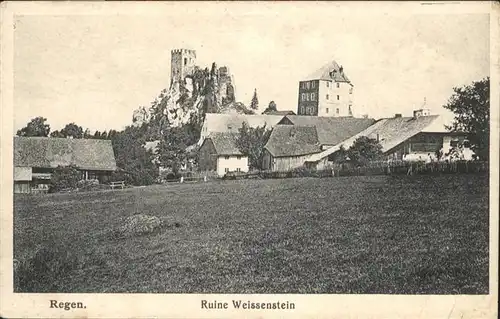 Regen Ruine Weissenstein / Regen /Regen LKR