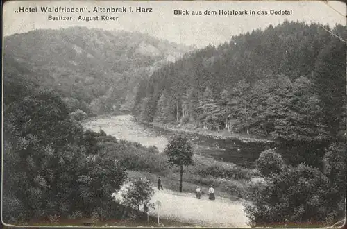 Altenbrak Harz Hotel Waldfrieden / Altenbrak /Harz LKR