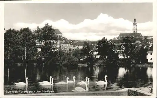 Sulzbach-Rosenberg Stadtpark / Sulzbach-Rosenberg /Amberg-Sulzbach LKR