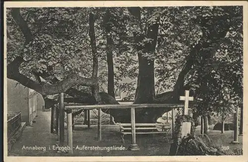 Annaberg-Buchholz Auferstehungslinde *