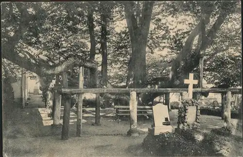 Annaberg-Buchholz Linde Friedhof x