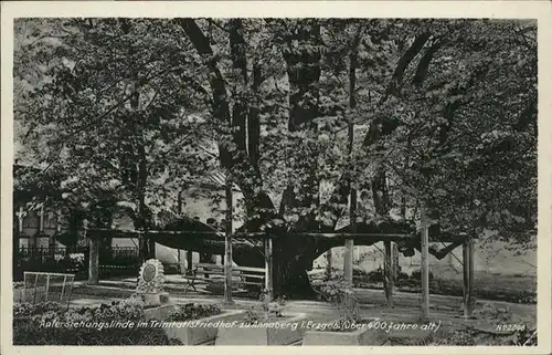 Annaberg-Buchholz Auferstehungslinde Friedhof *