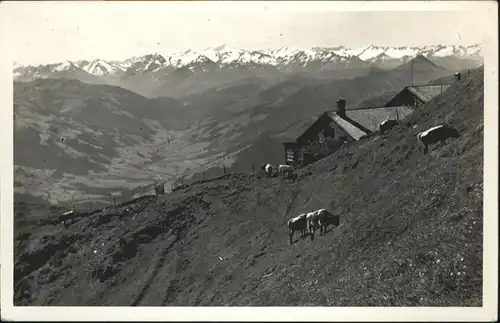 Kitzbuehel Gipfelhaus Kuehe