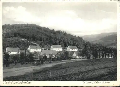 Bad Grund Harz Siedlung Gruene Tanne *