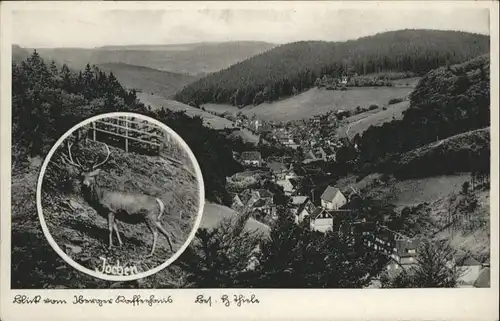 Bad Grund Harz Hirsch *