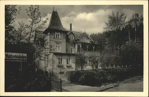 Lautenthal Harz Hotel Waldschloesschen Hahnenklee *