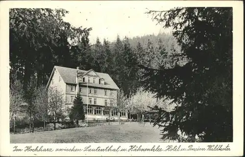 Lautenthal Hahnenklee Hotel Pension Waldkater Harz *