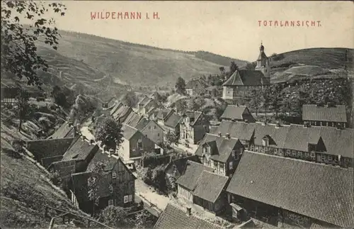 Wildemann Harz *