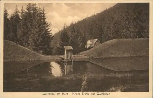 Lautenthal Harz Teich Waldkater *