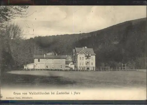 Lautenthal Harz Waldschloesschen x