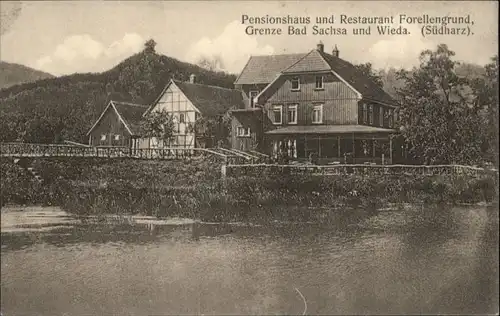 Wieda Harz Pension Restaurant Forellengrund *