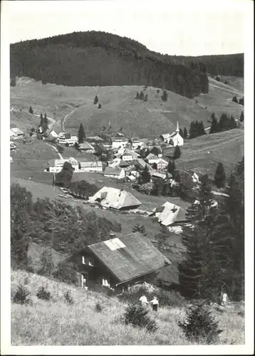 Muggenbrunn Naturfreundehaus Meisenpfiff *