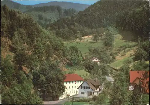 Ottenhoefen Schwarzwald AEG-Telefunken Ferienheim
Erbprinzen / Ottenhoefen im Schwarzwald /Ortenaukreis LKR