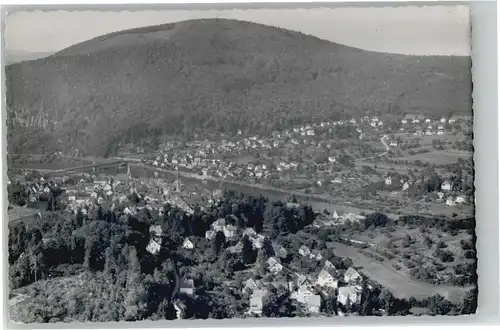 Neckargemuend Fliegeraufnahme *