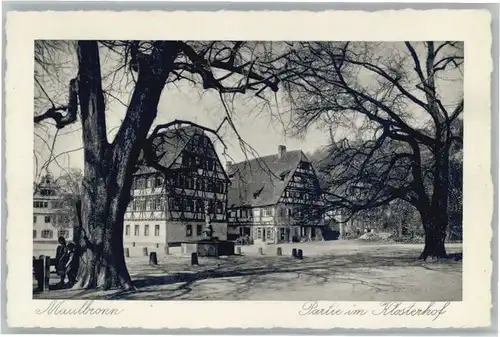 Maulbronn Klosterhof *