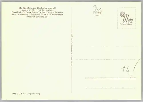 Muggenbrunn Gasthof gruener Baum *