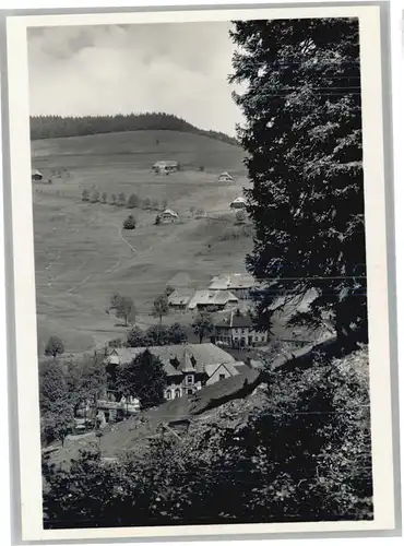 Muggenbrunn Gasthof gruener Baum *