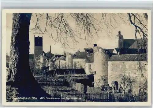 Ingolstadt Stadtmauer x