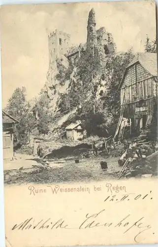 Regen Ruine Weissenstein x