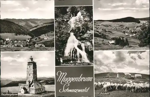 Muggenbrunn Wasserfall Feldbergturm Belchen *