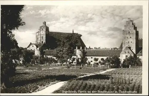 Ingolstadt Stadtmauer Taschenturm *