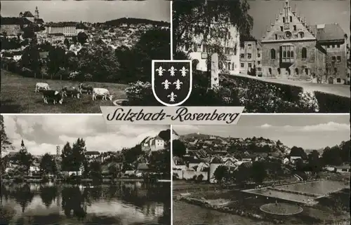 Sulzbach-Rosenberg  *