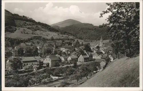 Zell Wiesental Hotel Loewen *