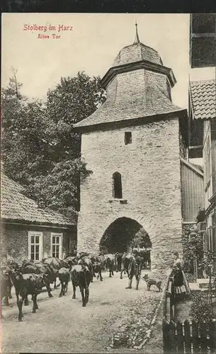 Stolberg Harz Altes Tor Rinder Kat. Stolberg Harz