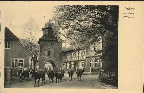 Stolberg Harz Rittertor Rinder Kat. Stolberg Harz