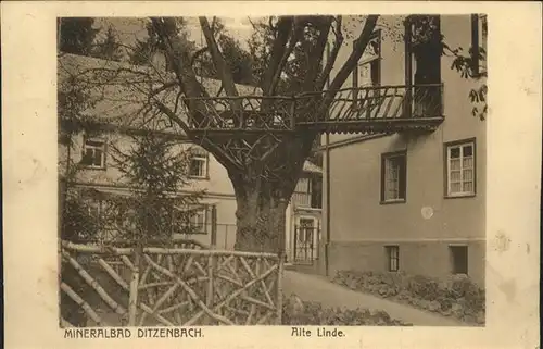 Bad Ditzenbach Alte Linde Kat. Bad Ditzenbach