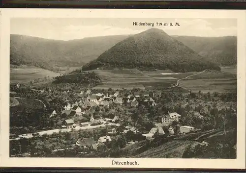 Bad Ditzenbach Gesamtansicht Hildenburg Kat. Bad Ditzenbach