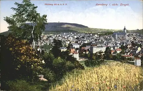 Annaberg-Buchholz Erzgebirge Annaberg Erzgebirge Poehlberg * / Annaberg /Erzgebirgskreis LKR