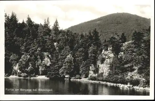 Bad Saeckingen Bad Saeckingen Bergsee * / Bad Saeckingen /Waldshut LKR