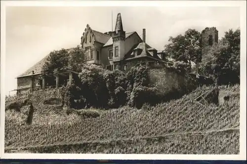 Bad Kreuznach Schloss Kauzenburg / Bad Kreuznach /Bad Kreuznach LKR