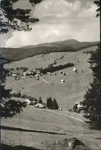 Todtnauberg Belchen / Todtnau /Loerrach LKR