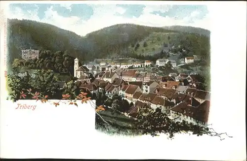 Triberg Schwarzwald  / Triberg im Schwarzwald /Schwarzwald-Baar-Kreis LKR