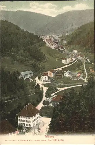 Triberg Schwarzwald  / Triberg im Schwarzwald /Schwarzwald-Baar-Kreis LKR