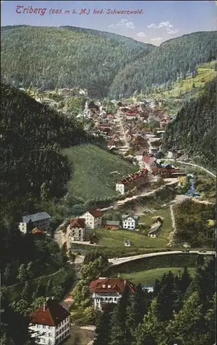 Triberg Schwarzwald Schwarzwald / Triberg im Schwarzwald /Schwarzwald-Baar-Kreis LKR