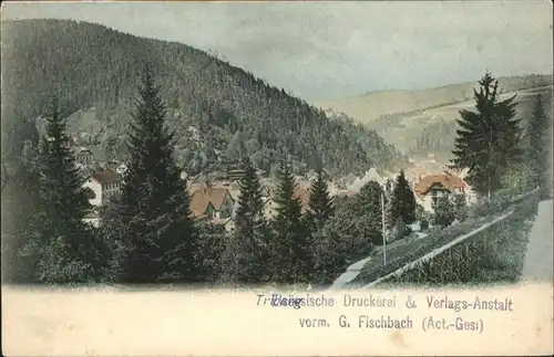 Triberg Schwarzwald  / Triberg im Schwarzwald /Schwarzwald-Baar-Kreis LKR