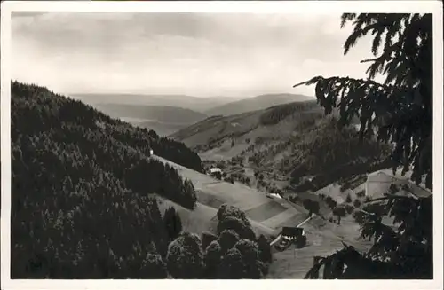 Triberg Schwarzwald Nussbachtal / Triberg im Schwarzwald /Schwarzwald-Baar-Kreis LKR