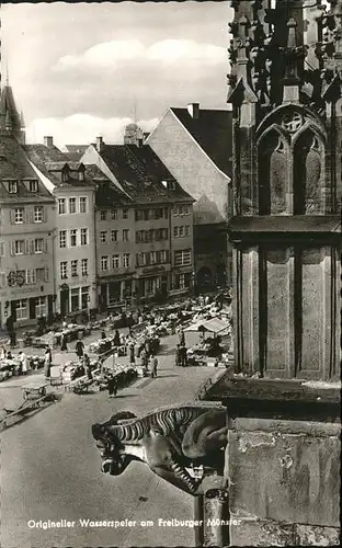 Freiburg Breisgau Wasserspeter am Muenster / Freiburg im Breisgau /Breisgau-Hochschwarzwald LKR